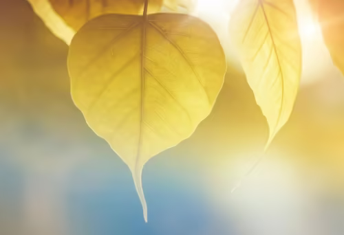 7款靠谱免费AI论文神器实测：查重率低于8%且原创度高的工具推荐